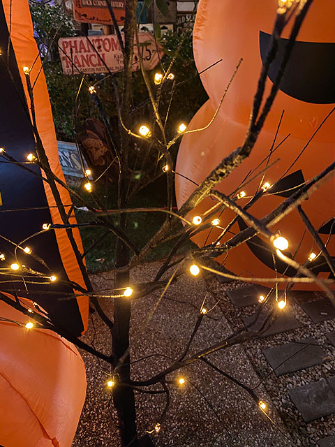 LED�֥�å��ĥ꡼120cm��S��������LED48�����