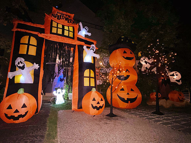 LED�֥�å��ĥ꡼120cm��S��������LED48�����