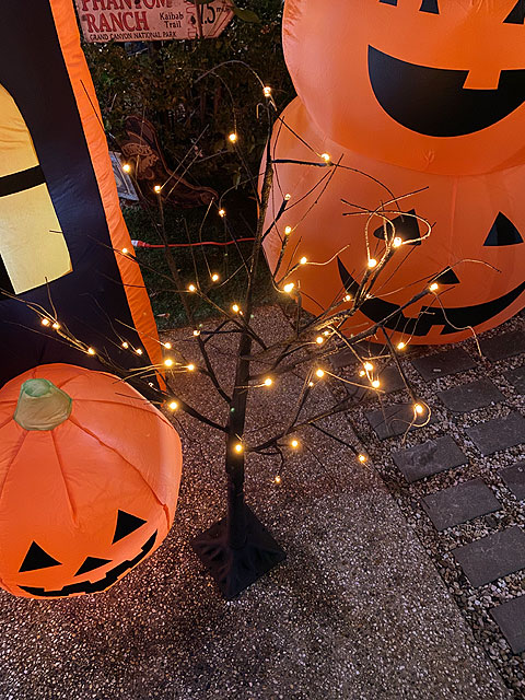 LED�֥�å��ĥ꡼120cm��S��������LED48�����