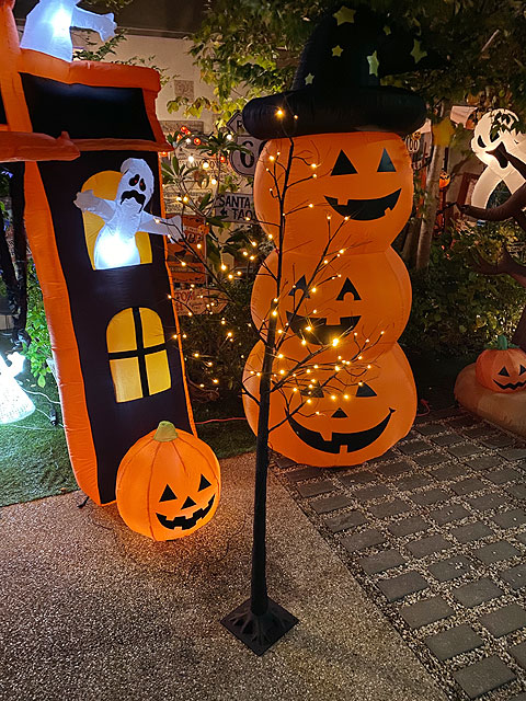 LED�֥�å��ĥ꡼120cm��S��������LED48�����