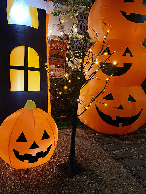 LED�֥�å��ĥ꡼120cm��S��������LED48�����