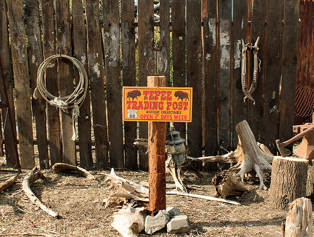 롼66ɥɥåסåɥ󡡡ʥȥ졼ǥ󥰥ݥȡ