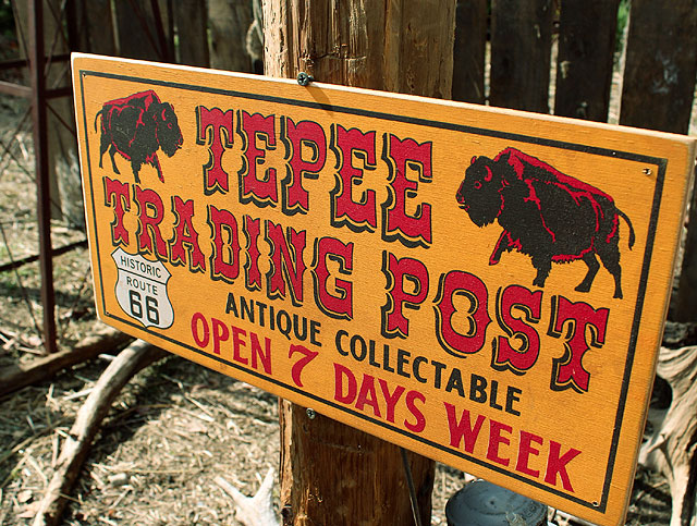 롼66ɥɥåסåɥ󡡡ʥȥ졼ǥ󥰥ݥȡ