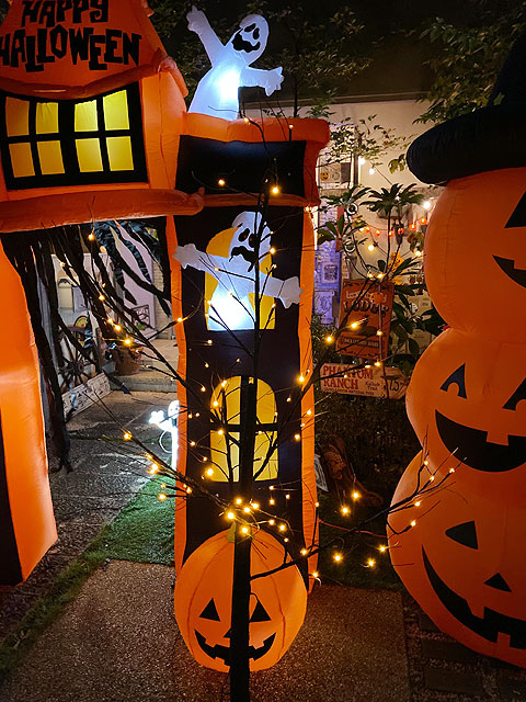 LED�֥�å��ĥ꡼180cm��L��������LED96�����