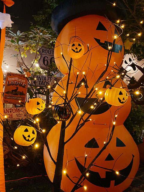 LED�֥�å��ĥ꡼180cm��L��������LED96�����