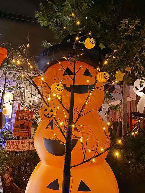 LED�֥�å��ĥ꡼180cm��L��������LED96�����