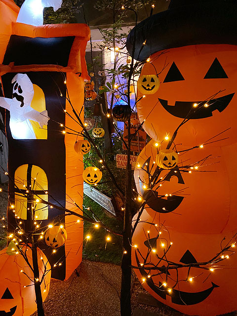 LED�֥�å��ĥ꡼180cm��L��������LED96�����