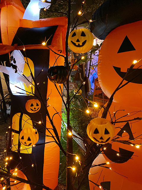 LED�֥�å��ĥ꡼180cm��L��������LED96�����