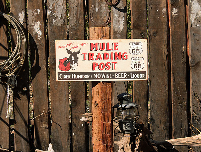 �롼��66�������ɥ����ɥ���åס����åɥ����󡡡ʥɥ󥭡��ݥ��ȡ�