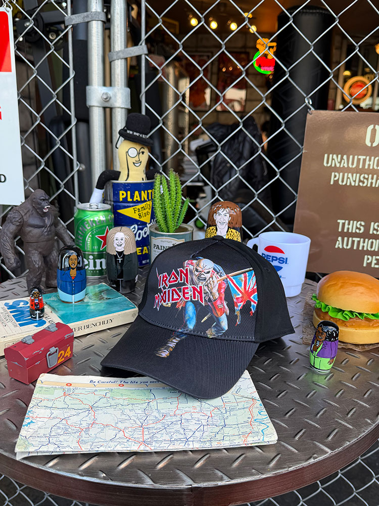 ��������ᥤ�ǥ󡡥����ȥ롼�ѡ������ե�����롡����åס�The Trooper���������å�