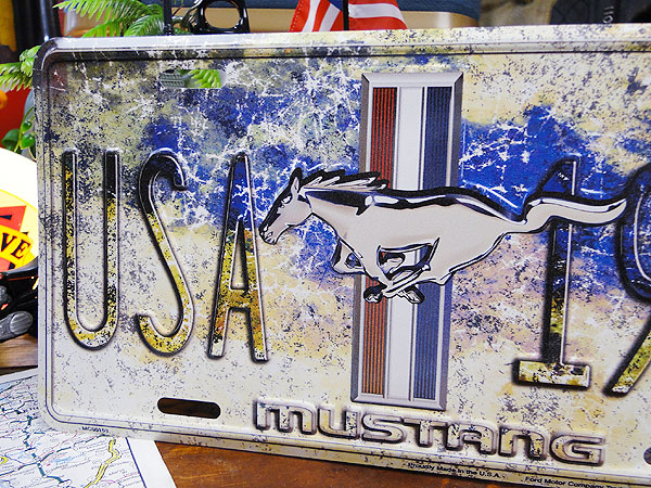 եɡޥ󥰡饤󥹥ץ졼ȡUSA 1964