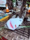 ���硼��������եܡ��롡�̤�����ߥݡ������ʥ���ӥ��դ���