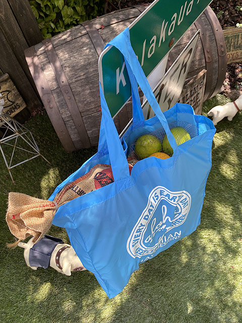 ϥ磻󡡥ɡǥ󡡥Хåʥ饤ȥ֥롼