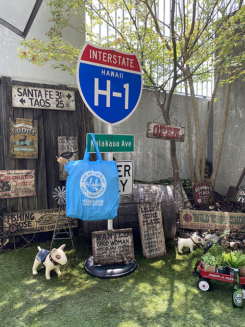 ϥ磻󡡥ɡǥ󡡥Хåʥ饤ȥ֥롼