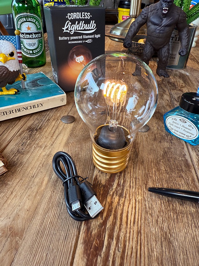 SUCK UK�������ɥ쥹���Х�֥��ס��ե�����ȡ�USB���ż����ŵ巿��LED�饤��