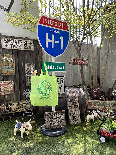 ϥ磻󡡥ɡǥ󡡥Хåʥͥ󥤥