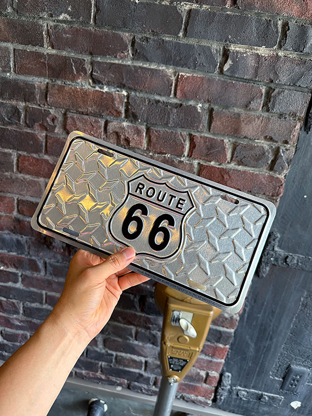 롼66饤󥹥ץ졼ȡʥɥ/С/Ŵ͡