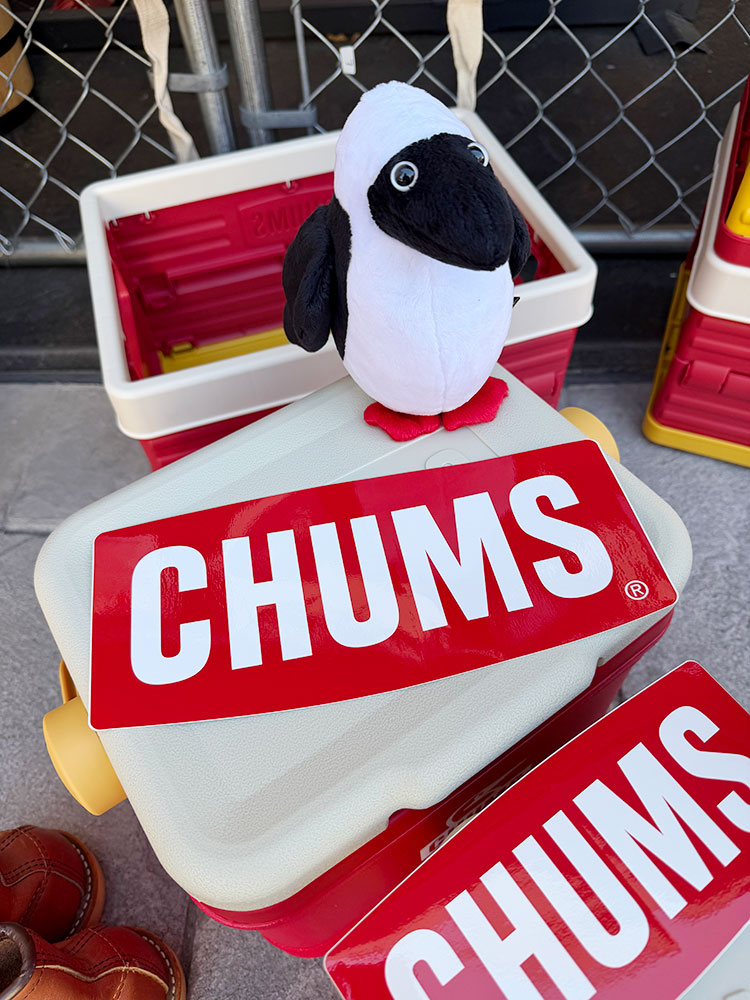 CHUMS������ॹ����åɥ��������ե�����롡���ƥå�������L�������ˡ�ñ��