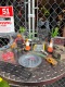 �ޡ�����꡼��������ơ��������⡼��ȥ쥤���ʥ���С��ˡ�������������ȥ쥤