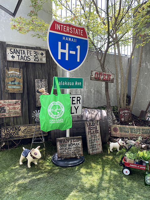 ϥ磻󡡥ɡǥ󡡥Хåʥͥ󥰥꡼