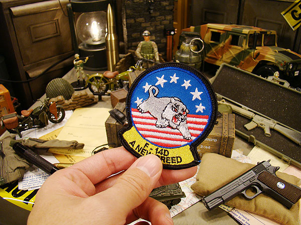 �ȥ७��åȡ��ߥ꥿�꡼��åڥ󡡡�F-14D��A NEW BREED��