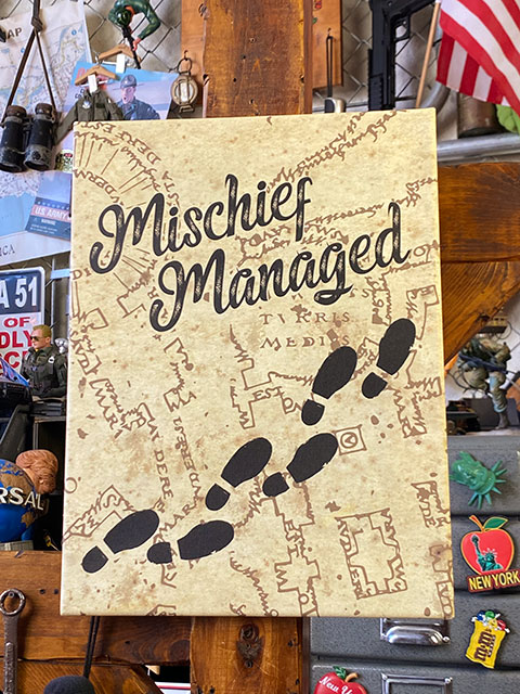 �ǲ衡�ϥ꡼�ݥå����ȥ������Х�μ��͡�Ǧ�Ӥ��Ͽޡ������Х�������