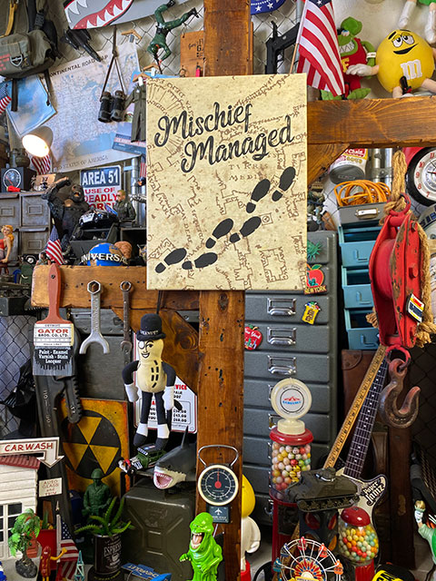 �ǲ衡�ϥ꡼�ݥå����ȥ������Х�μ��͡�Ǧ�Ӥ��Ͽޡ������Х�������