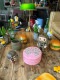 �ϥ꡼�ݥå������С����ǡ�������������˥�������ƫ��������ʪ����