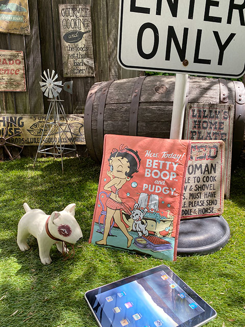 ٥ƥ֡סեȥåХåʥԥ󥯡