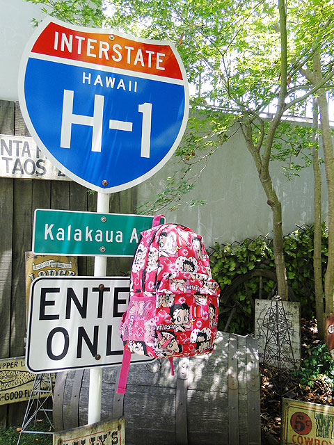 ٥ƥ֡סХåѥåʥԥ󥯡