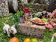 �ࡼ�󥫥ե������饹