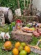�ࡼ�󥫥ե������饹