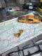�Ρ��������ȡ��ԥ�ʥåץ����롡�ߥ꥿�꡼���ԥ�Хå�����CREW CHIEF�ˡ��ԥ�