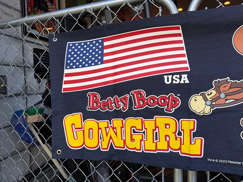 �٥ƥ����֡��ס��ǥ˥�Хʡ����ʥ����������