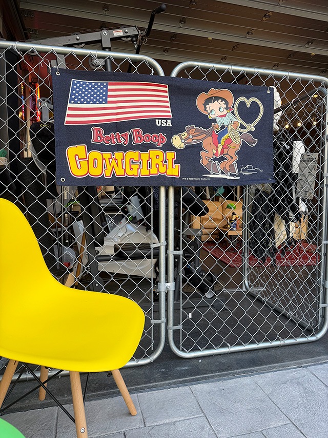 �٥ƥ����֡��ס��ǥ˥�Хʡ����ʥ����������