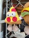 NICI���˥����ե������ȥա��ɥ���饯�������̤�����ߡ������ۥ�������ʥԥ��� ñ��