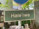 �ϥ磻��ƻϩɸ�������åɥ����󡡡ʥϥ쥤���