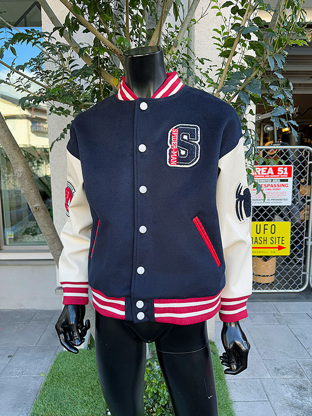 ���ѥ������ޥ󡡥��������L�������Τߤ�Ÿ������˥��å��������ե������饤���󥹡�����饸���