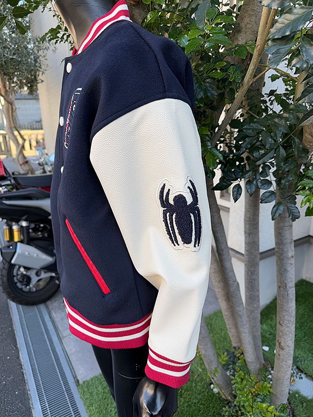 ���ѥ������ޥ󡡥��������L�������Τߤ�Ÿ������˥��å��������ե������饤���󥹡�����饸���