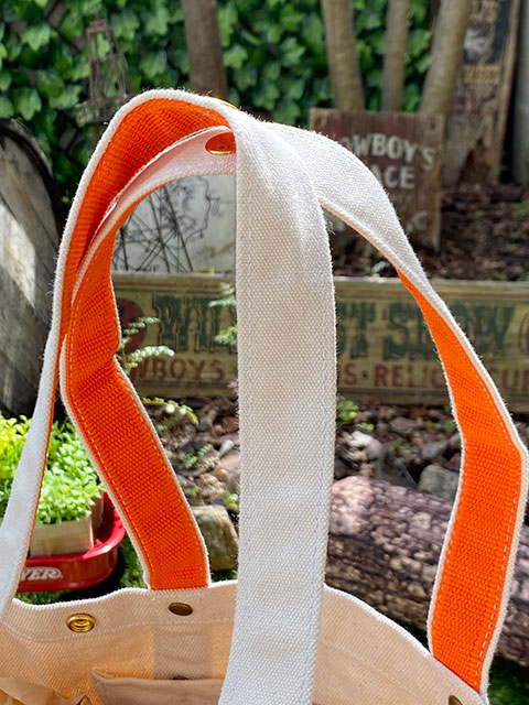 ȥBBH1DAY ȥåץХå