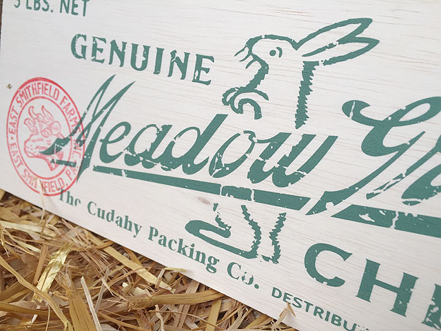 ܥåߥ˥åɥ󡡡ʥɥ롼֡