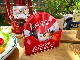 �����������顡�ƥ��󥳡�������6�祻�åȡ��ʥ��������������