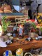 NECA���ǲ衡���㥤��ɥץ쥤������å������ܥǥ��Υå���