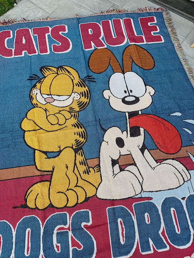 �����ե�����ɡ���Ƚ�饰�ޥåȡ��ե�󥸡����ڥ��ȥ꡼