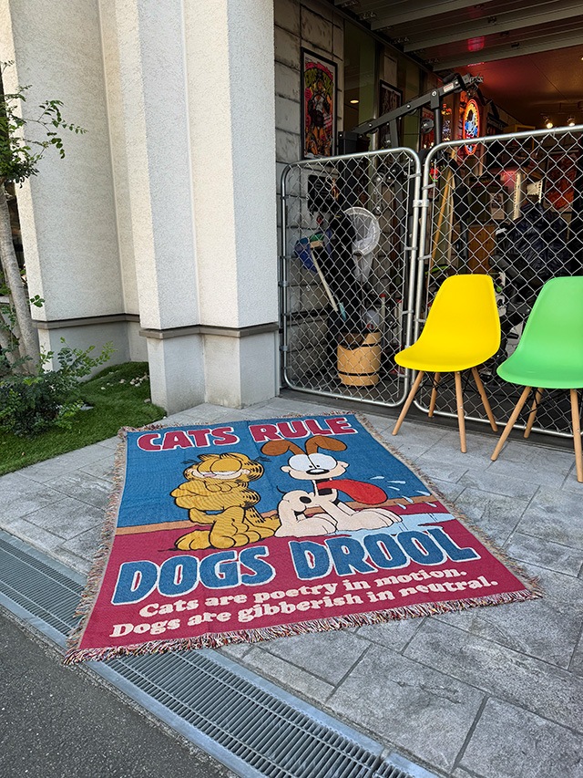 �����ե�����ɡ���Ƚ�饰�ޥåȡ��ե�󥸡����ڥ��ȥ꡼