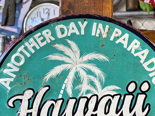 ϥ磻ܥƥ󥵥󡡡ANOTHER DAY IN PARADISE