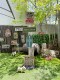�ϥ磻��ƻϩɸ�������åɥ����󡡡ʥ��ʥ����ҡ���
