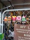 NICI���˥����ե������ȥա��ɥ���饯�������̤�����ߡ������ۥ����������5�糧�åȡ�