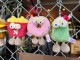 NICI���˥����ե������ȥա��ɥ���饯�������̤�����ߡ������ۥ����������5�糧�åȡ�