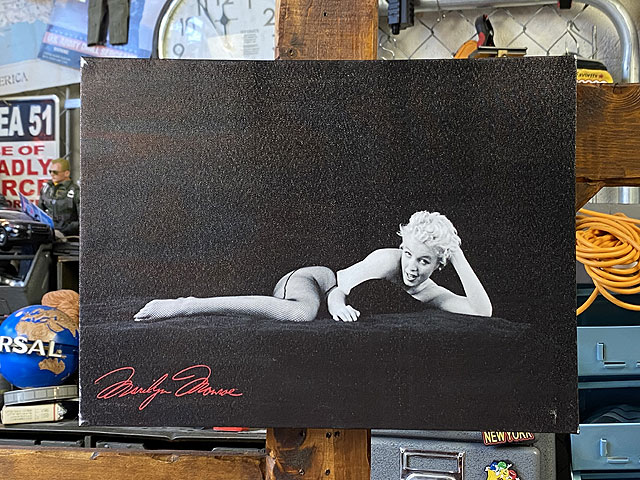 �ޥ��󡦥������������Х������ȡ���S������/�ǥ�����E��